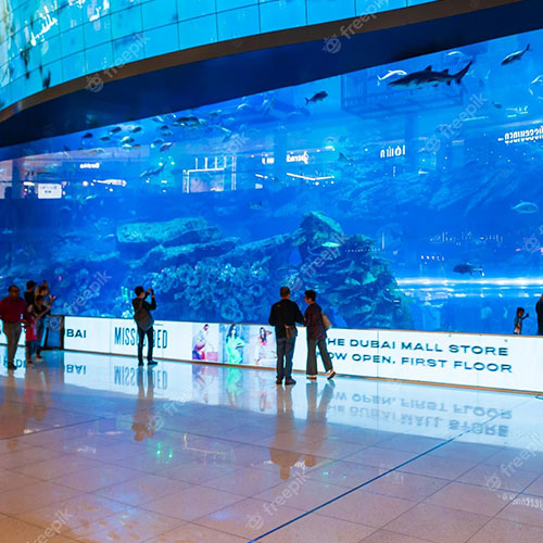 dubai-mall-aquarium